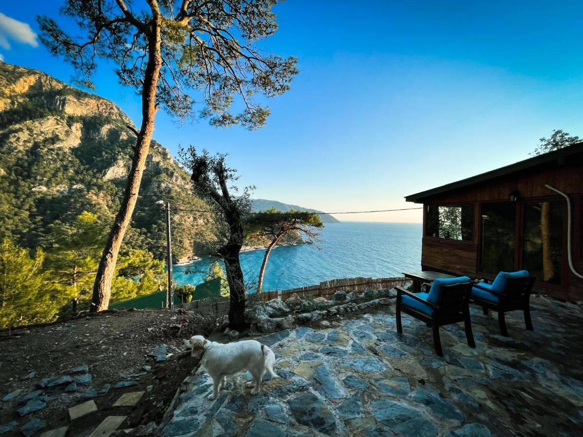 Kabak Ütopya Suites Faralya Exterior foto